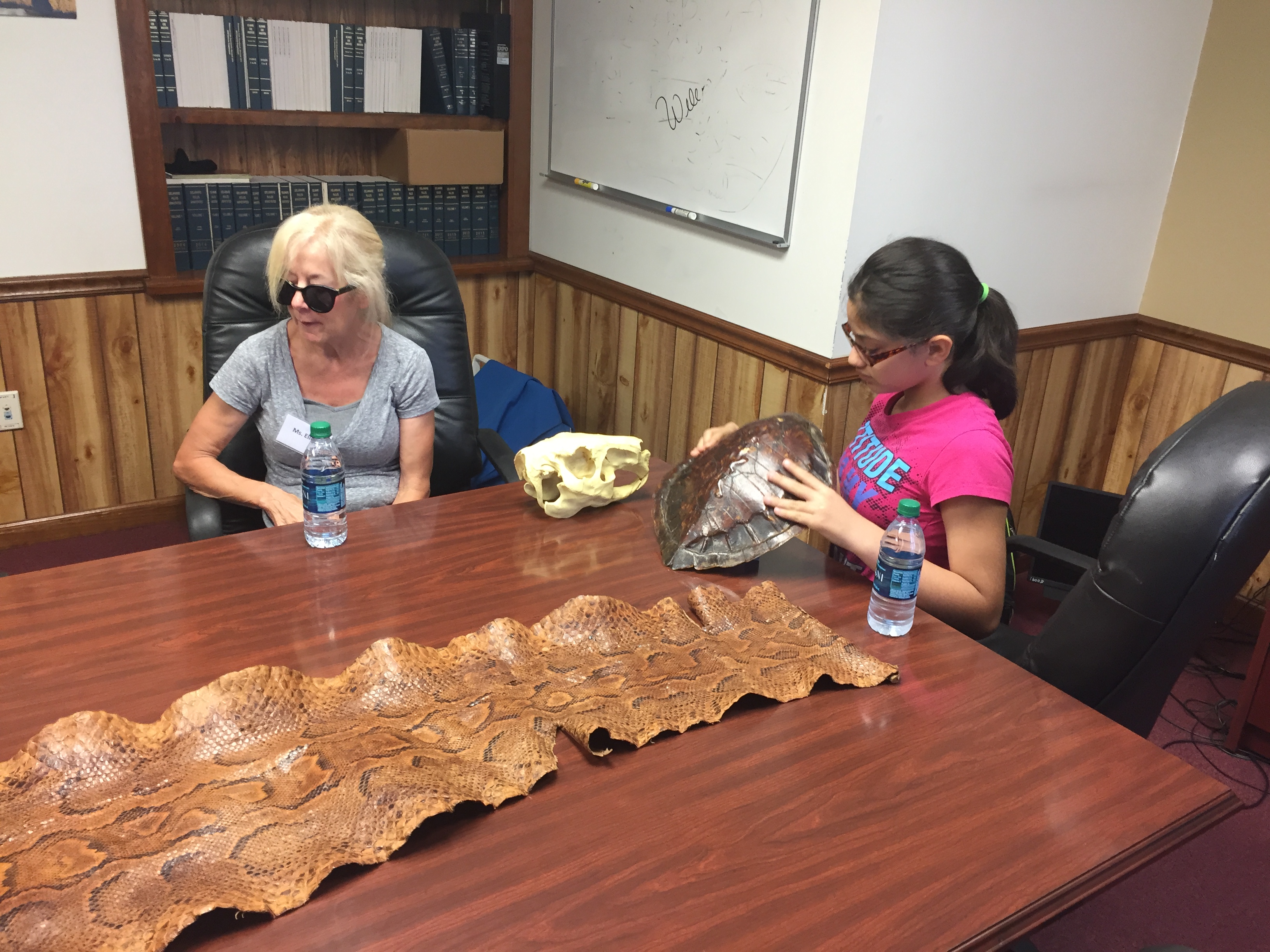 Hannah Pretz, Brandywine Traveling Zoo, shares snake skin, capybara skull and sea turtle shell with BELL 2017 participants.